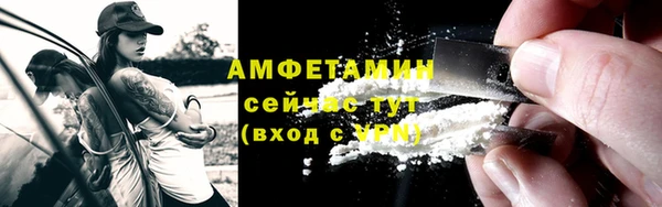 стаф Дмитровск