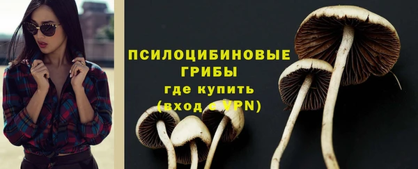 молекула духа Горно-Алтайск