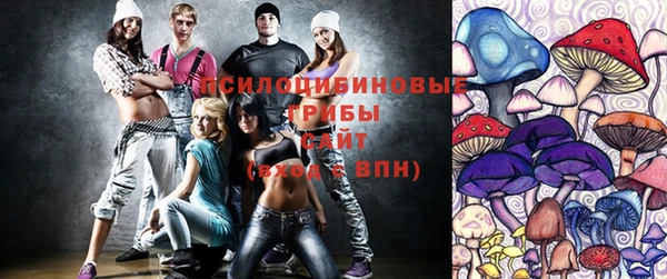 спиды Дмитриев