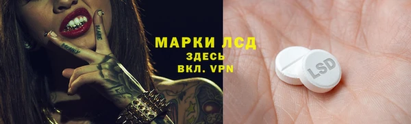 тгк Горнозаводск