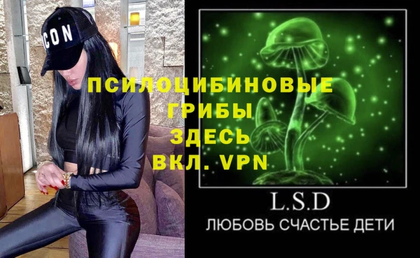 тгк Горнозаводск