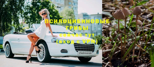 молекула духа Горно-Алтайск