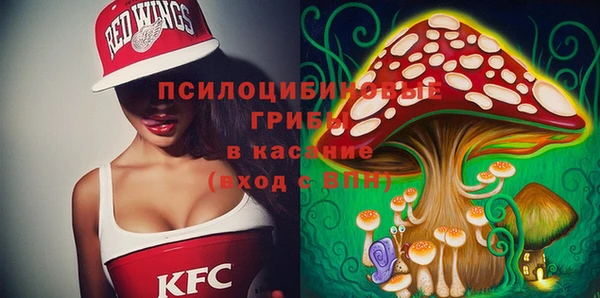 спиды Дмитриев