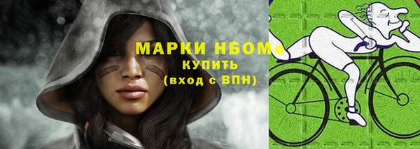 стаф Дмитровск