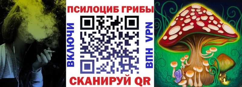 Галлюциногенные грибы прущие грибы продажа наркотиков блэк спрут маркетплейс Дагестанские Огни